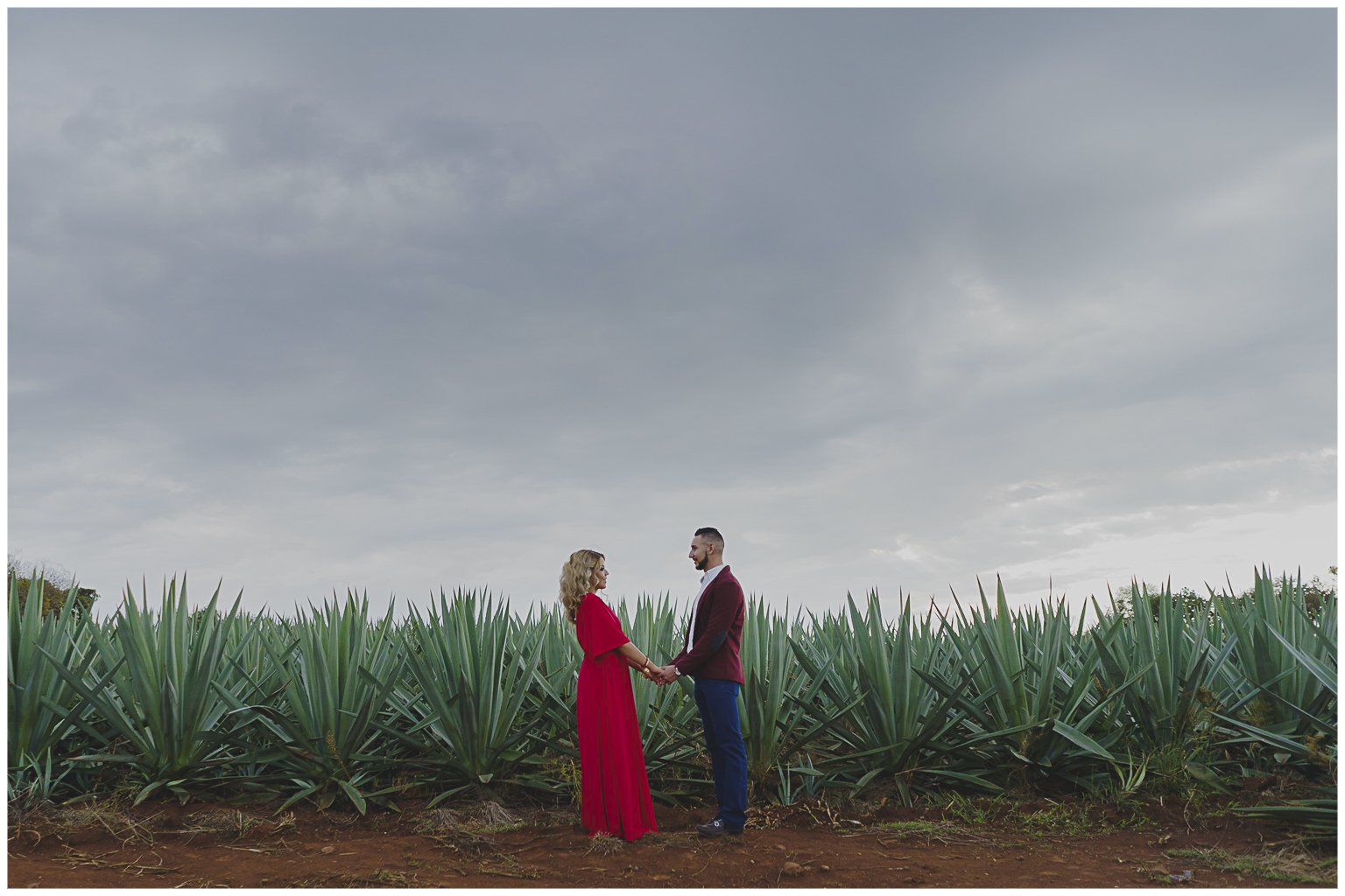 fotografo de bodas en sahuayo zamora cotija michoacán mazamitla guadalajara jalisco mexico luis mario pantoja sesion de compromiso preboda en agaves tequila